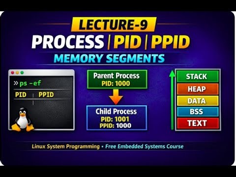 Lec-10: What is Process in linux PID, PPID & Process Memory Segments | text data bss heap segment