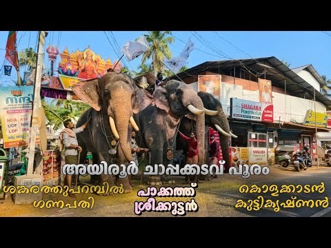 ഇന്ന് അയിരൂർ ചാപ്പക്കടവ് പൂരത്തിനെത്തിയ പാക്കത്ത് ശ്രീക്കുട്ടൻ, കൊളക്കാടൻ കുട്ടികൃഷ്ണൻ, ഗണപതി