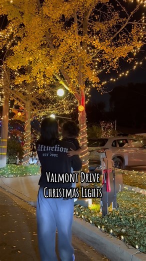 Flyboy Foodie on Instagram: "Our FAVORITE Christmas Lights this year!"