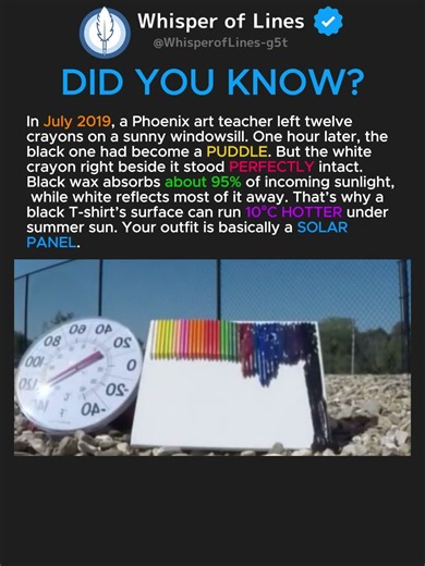12 Crayons, 1 Hour of Sun… Only One Survived