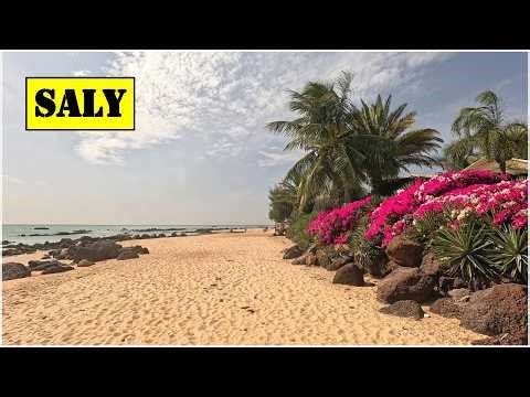 2026 senegal 🇸🇳 #4 (saly)