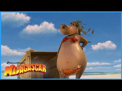 Gloria, Everyone's Favourite Hippo!🦛 | DreamWorks Madagascar