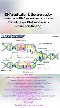 🧬 DNA Replication — How DNA Copies Itself ?#DNAReplication #ScienceSimplified #Botany