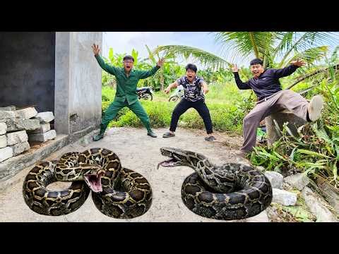 Brave Hunters Rescues Young Man From Giant Anaconda In Abandoned House
