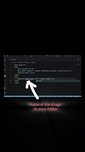 HTML Image Tag Tutorial | Beginner Tutorial 💻🔥#tech #coding