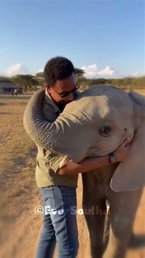 When an Elephant Loves You, You Feel It 💖