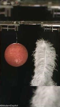 This is how Feathers and a ball fall in a vcuum chamber. #gravity #science #physics #experiment