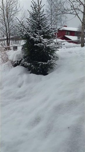 4Snow Everywhere ❄️ Winter View from My Window #shorts