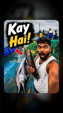 🐟 Machhli Ke Muh Par Ye Talwar Kyun? 😱, Deep Ocean Fishing 🎣|