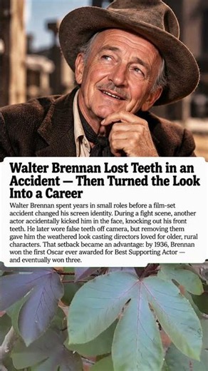 Walter Brennan Lost Teeth in an Accident — Then Turned the Look Into a Career