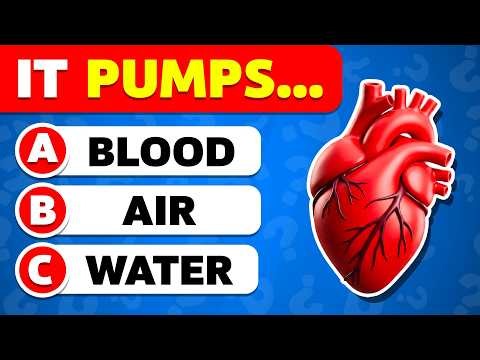 General Knowledge Quiz 🧠 | 50 Questions That Reveal Your True Knowledge Level 🤓