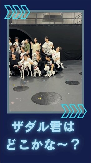 ダルメシアンカフェのザダルくんを探してみてね🐶🐾 ダルメシアンの物語を、舞台でそしてダルメシアンカフェにも会いに来てね#ダルメシアン#101ダルメシアンズ #ダルメシアンカフェ#101 #犬カフェ