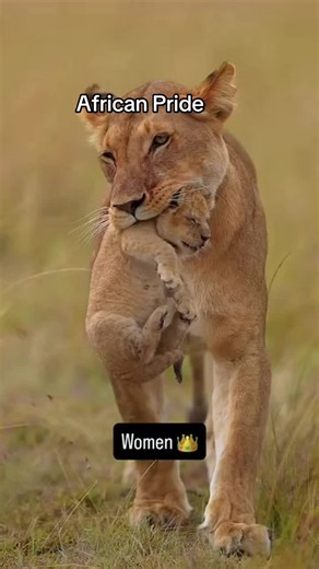 African Pride Adventure: Exploring Culture and Travel