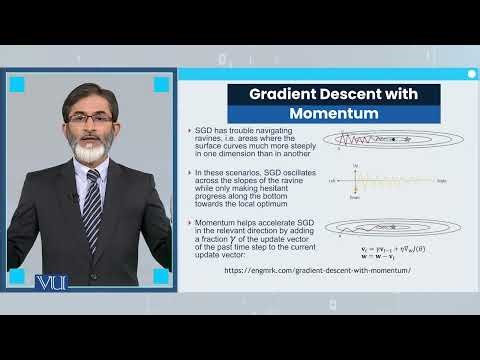 Gradient Descent with Momentum | Deep Learning | CS631_Topic027