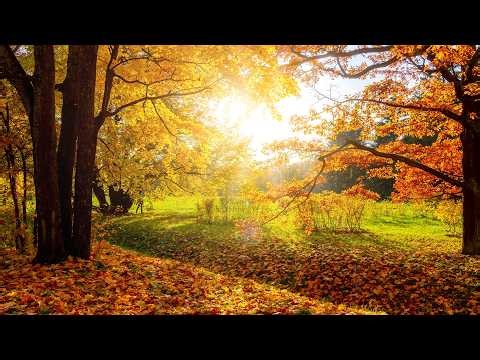 Beautiful Relaxing Music, Peaceful Soothing "Walking the Autumn Trails" by Tim Janis