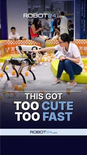 AIMOGA’s Argos Robot Dog Dances in Shanghai