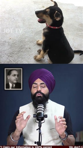 Stay Curious ❤️🔥 Random Facts Explained #RandomFacts #FunKnowledge #StayCurious #MindBlowingFacts