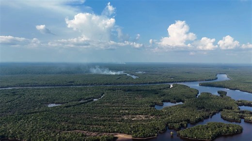 Drone footage reveals extensive devastation in the Amazon rainforest