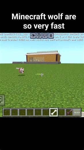 The Most Loyal & Fastest Wolf in Minecraft History!