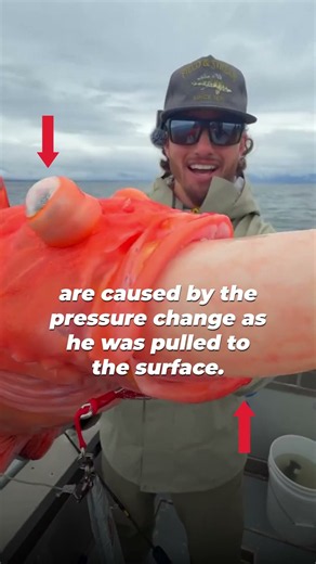 They Released This Fish… But the Damage Was Already Done 💔🐟