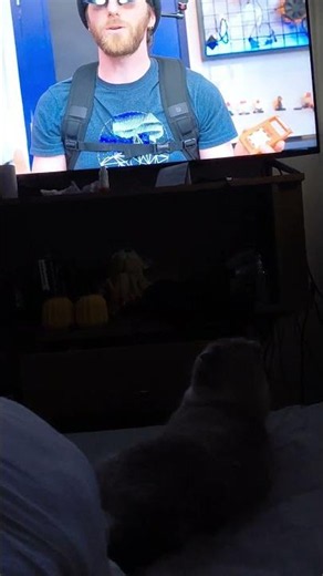 he loves linus tech tips lol