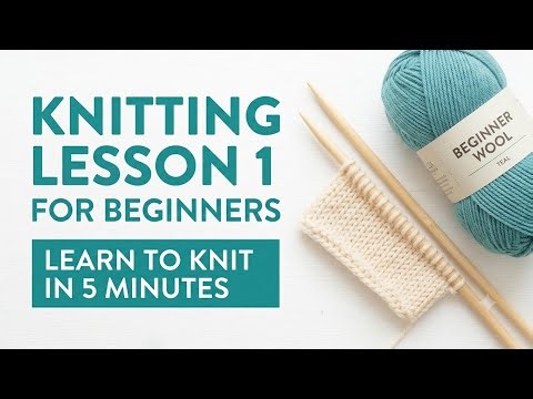 How to Knit for Beginners | Lesson 1: Learn in 5 Minutes!