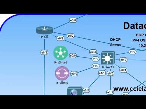 Cisco SD-WAN: Components and How It Works