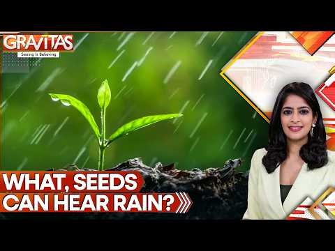 Nature's Biggest Secret Revealed: Scientists Just Proved Seeds Listen to Rain | GRAVITAS | WION