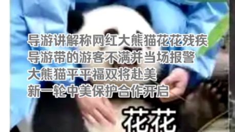 【采风】熊猫TV——近期熊猫事件两则