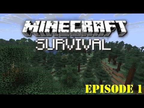 MINECRAFT | LET'S PLAY | EP 1 | STARTING NEW SURVIVAL WORLD | 2026