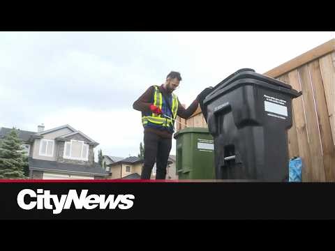 What’s in your trash? City of Edmonton checking for green bin compliance
