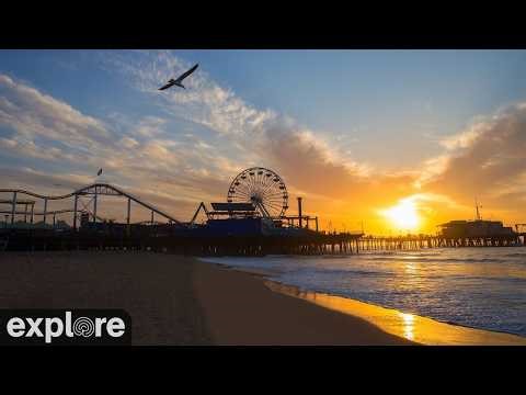 LIVE Santa Monica Beach & Pier Cam: California | explore.org