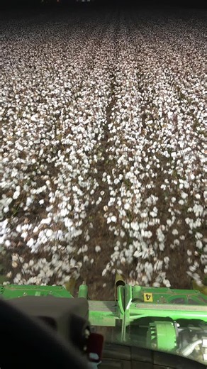 #deltapinecotton | did you fly delta