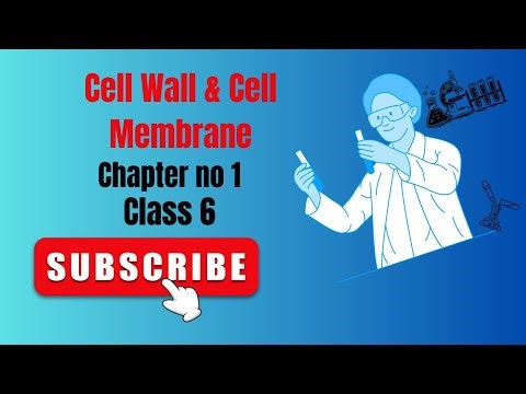CELL WALL & CELL MEMBRANE CHAPTER NO 1| CLASS 6