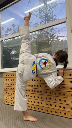 Taekwondo / Perfect Roundhouse Kick💥