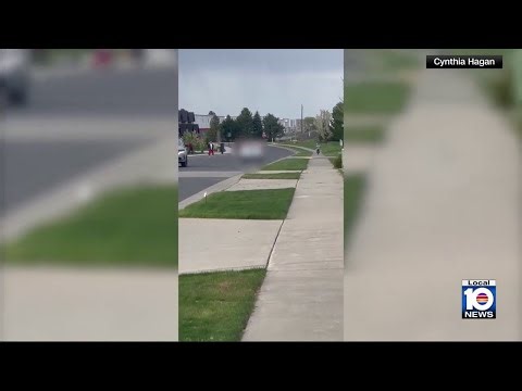 Driver arrested after chasing young child riding bike, police say