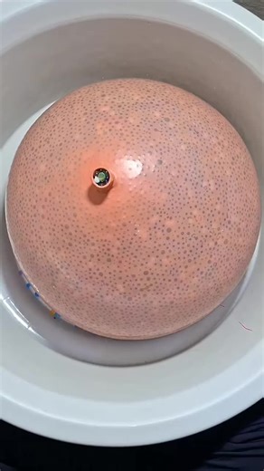 ✮𝐻𝒾𝒮 👰‍♀𝑀𝒶𝐻𝒶𝑅𝒶𝒩𝒾 ✮ (@sm.jannat.2)’s videos with original sound - ইউছুফ ভাই📿