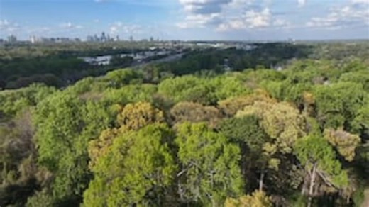 What you need to know to survive the spring pollen boom