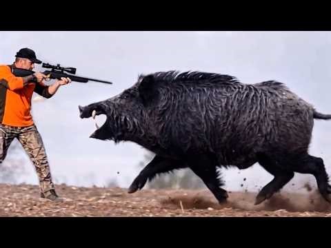 GIANT MOSNTER WILD BOAR HUNTING - 2