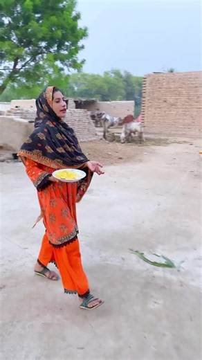 Punjabi Rani Village Life - Rani G Short Video