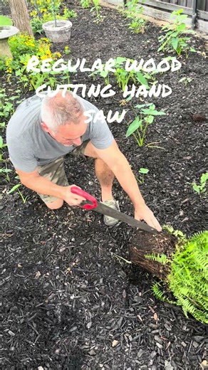 #landscape fern hack - follow me if you like this idea! #backyard #garden #plants
