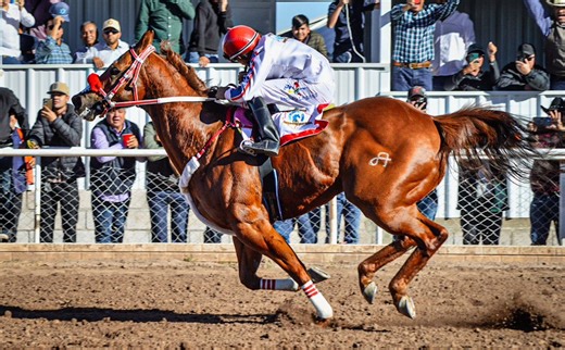🔥😱El COMANDANTE VS EL GOLDEN😱🔥 La Carrera del Año En Satevo Race Track | Carreras de Caballos Videos Dgo