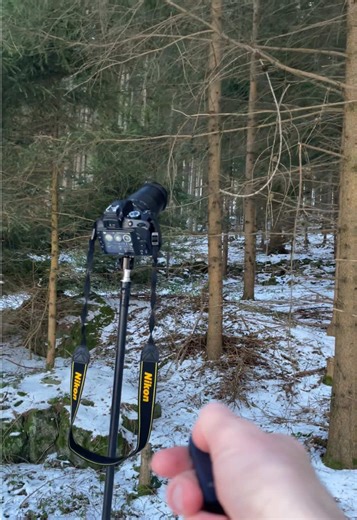 Exploring the Nikon D3300 Camera Features