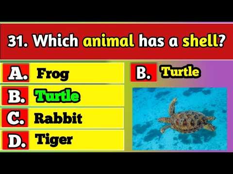 General Knowledge Trivia Quiz | Test Your Brain with Fun Questions & Ultimate Challenge Today!