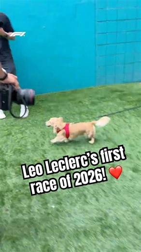 Leo's First Race Of 2026! ❤️