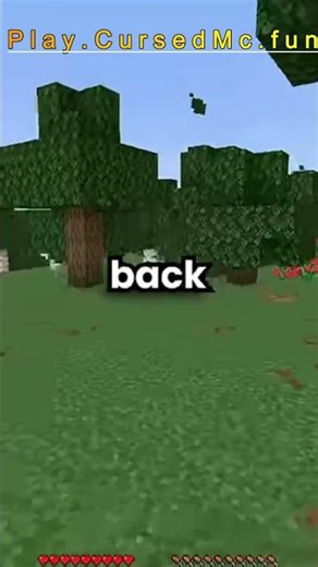 BEST Java/Bedrock Minecraft Server 🔎 #minecraft #gaming #lifestealsmp #smp