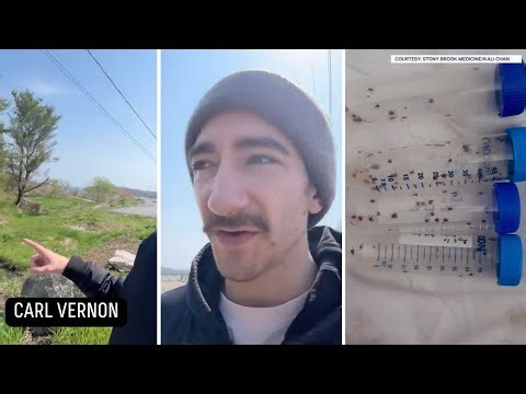 Ticks are EVERYWHERE 