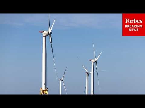 Warning—Environmental Disaster Is Looming Thanks To Alternative Energy Sources: Steve Forbes