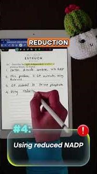 The photosynthesis marking points examiners look for #alevelbiology #alevelstudent #biologyrevision