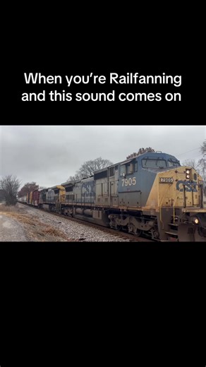 CSX Railfanning Equipment Defect Detector Insights